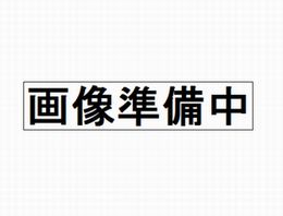 サイアドシン(ジェネリックビブラマイシン)100mg 10カプセル